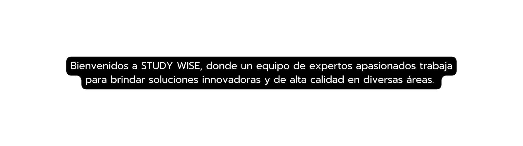 Bienvenidos a STUDY WISE donde un equipo de expertos apasionados trabaja para brindar soluciones innovadoras y de alta calidad en diversas áreas